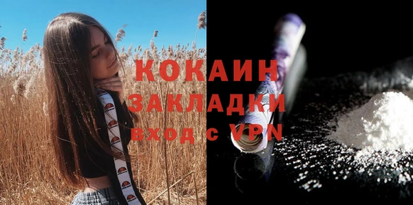 СК Волоколамск