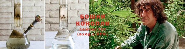 СК Волоколамск